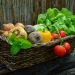 panier de légumes